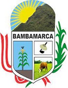 4 MUNI BAMBAMARCA LOGO.